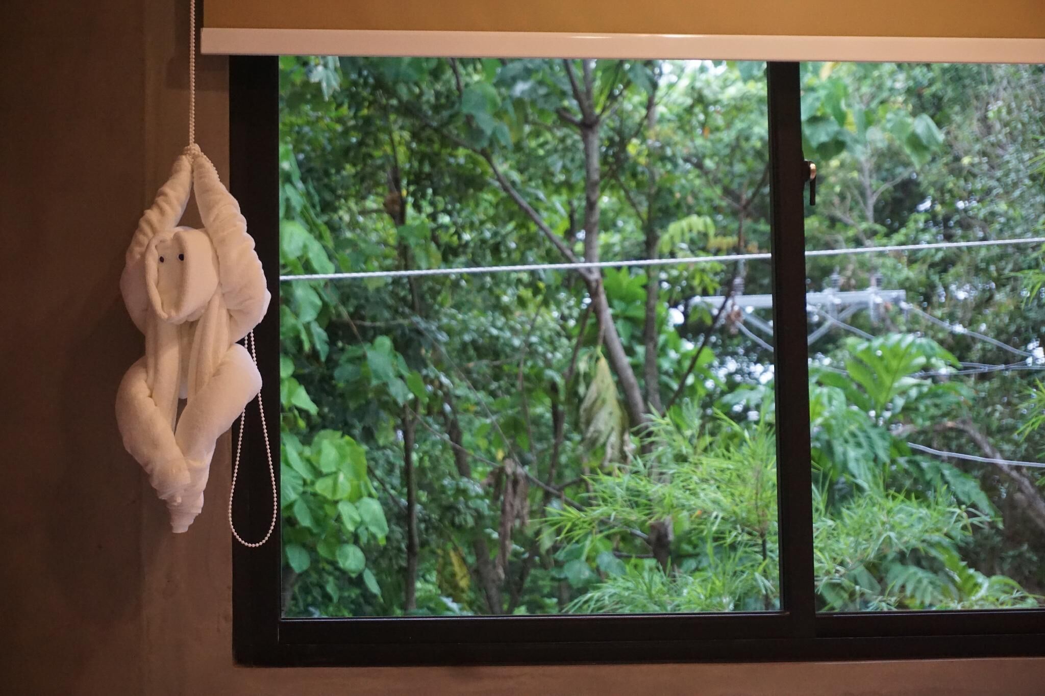 Foto - Hotel Dumaguete