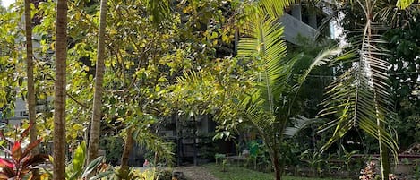 Un exuberante jardín con palmeras y un espacio de descanso.