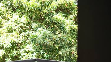 Superior Room, Balcony, Garden View | Balcony view