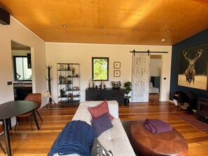 Smart TV, fireplace, books, stereo