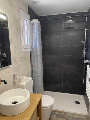 Shower, hair dryer