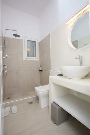 Hair dryer, towels, soap, toilet paper