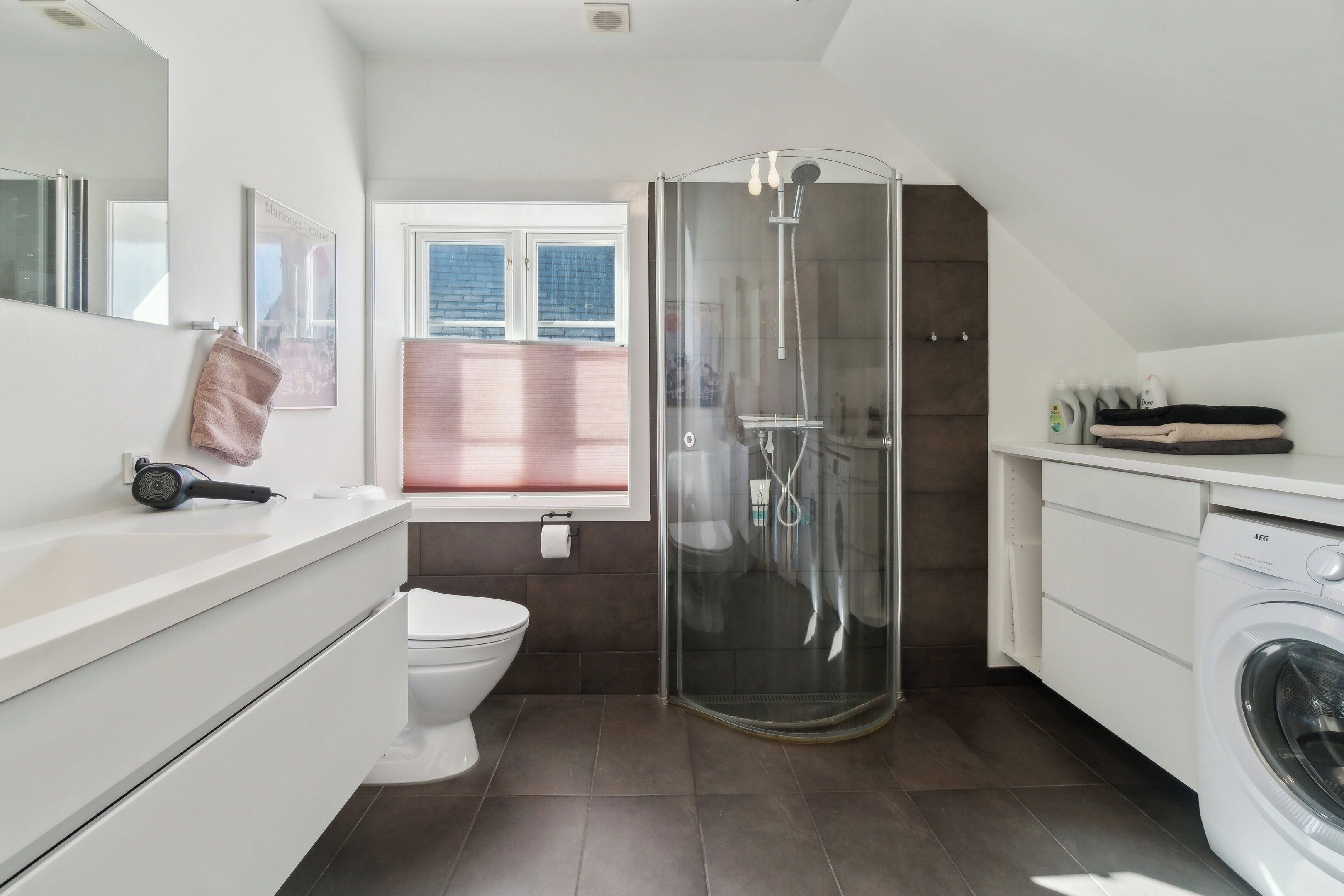 Shower, hair dryer