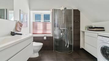 Shower, hair dryer