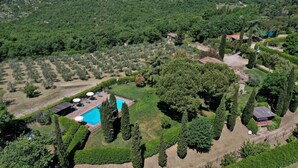 Vista aerea di una struttura con piscina, circondata da giardini curati e alberi.