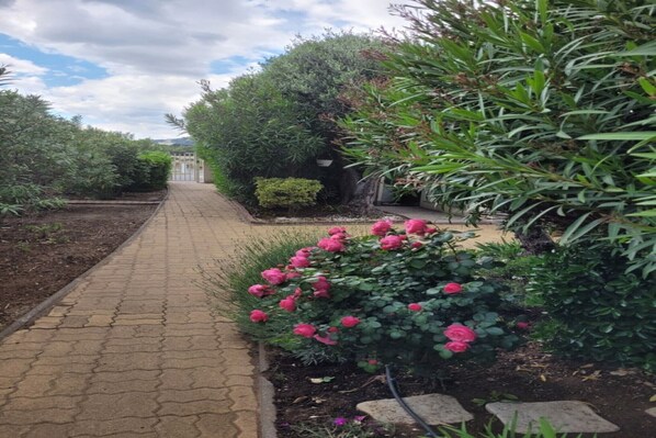 A paved pathway flanked by lush greenery and blooming pink flowers, leading towards a building in the distance.