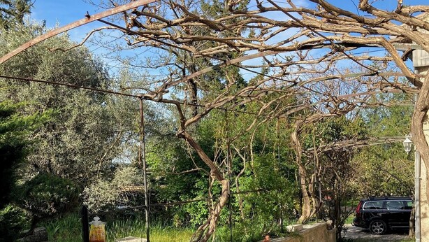 Een patio in een tuin met een pergola, een stenen muur en een zithoek.