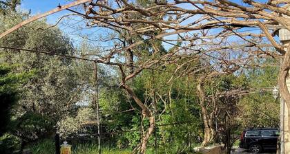 Country house at the foot of Mont Ventoux with large swimming pool