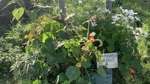 Een bord met de tekst 'UPPER BRAILES' en het label 'SUSTAINABLE BRAILES' in een tuin.