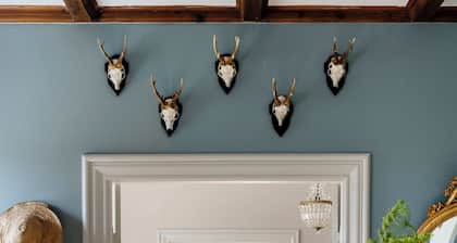 Stemming country idyll