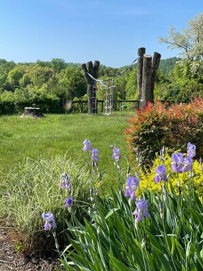 Property grounds - Shenandoah 3BR Mountain Retreat on 15 Acres – Views, Fire Pit, and More! (Stanardsville)