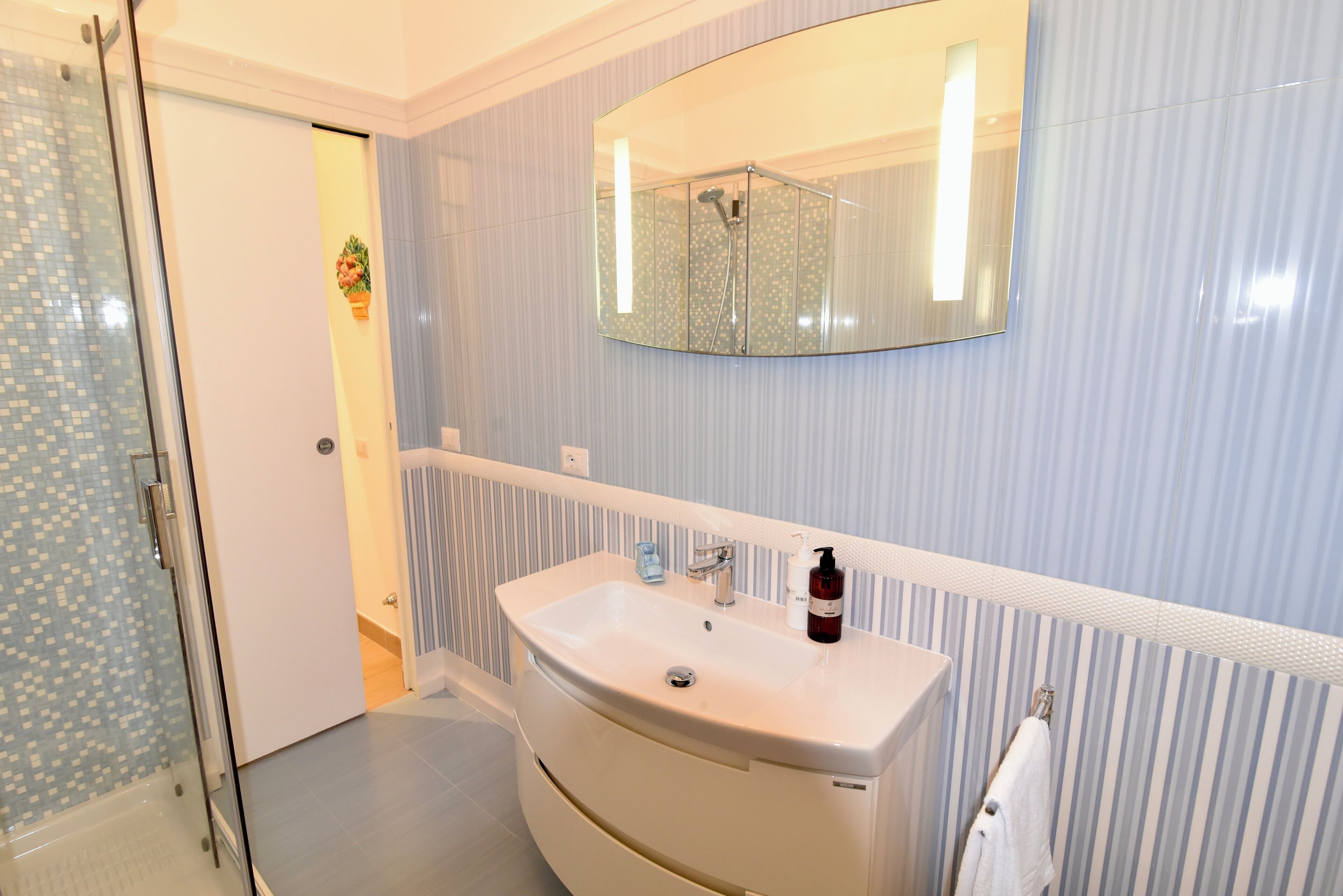 Regadera, secadora de cabello, bidet, toallas 