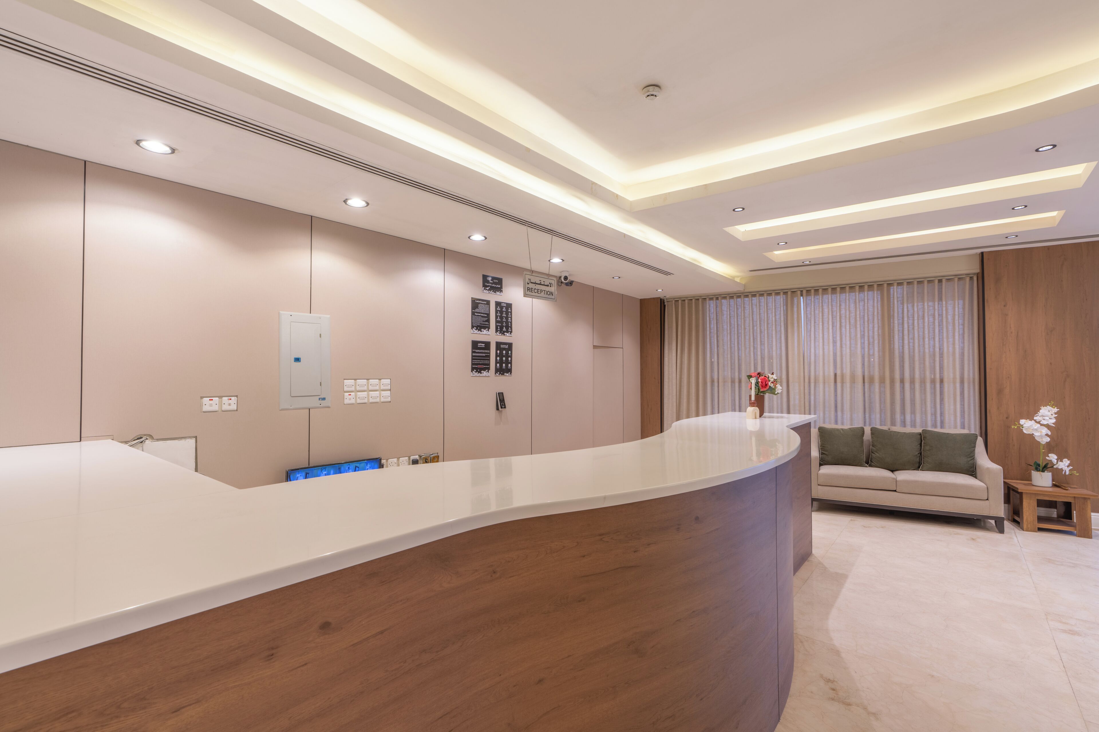 A modern reception area with a curved reception desk, a sofa, and a small table with a potted plant.