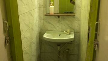 Shower, jetted bath, hair dryer, bidet