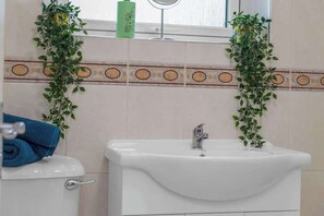 Regadera, secadora de cabello, shampoo 