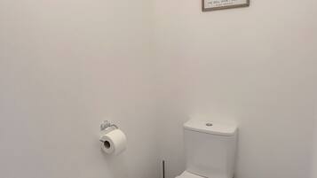 Hair dryer, towels, toilet paper