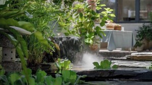 A small waterfall in a garden with stone steps and lush greenery. - Dali Ancient City Shishi Anshe Vacation Apartment (Dali City)