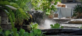 Dali Ancient City Shishi An She Homestay