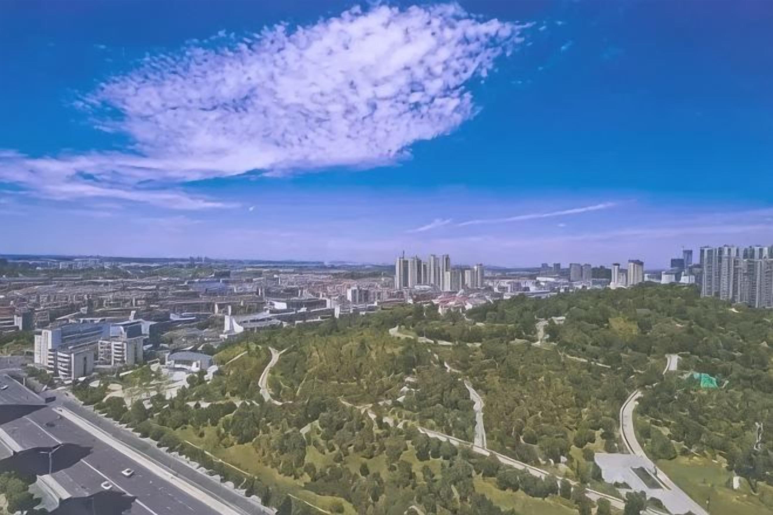 Un paisaje urbano con rascacielos, un área verde de parque y un cielo despejado.