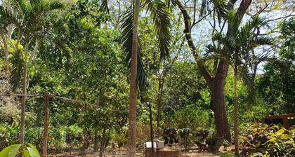 Small finca in Lepanto near Jicaral in the province of Puntarenas in Costa Rica