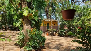 A courtyard with a yellow building, surrounded by trees and plants.