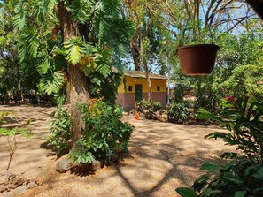 Property grounds - Small finca in Lepanto near Jicaral in the province of Puntarenas in Costa Rica (Lepanto)