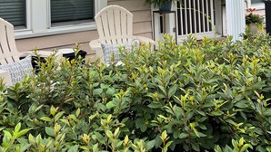 A house with a porch, two chairs, and a potted plant. - Charming 2-bedroom house in Monroe with AC, WiFi (Monroe)