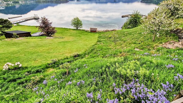 Un paisaje tranquilo junto al lago, con un césped, un banco de madera y un cobertizo pequeño.