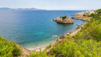 الإطلالة من المنشأة