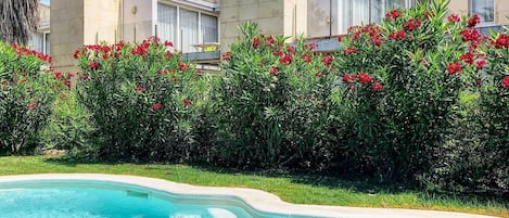 Apartment | Pool