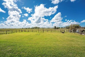 Property grounds - The Spacious Florida Oasis (Arcadia)