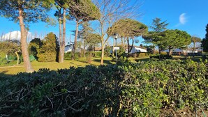A well-maintained garden with various trees and shrubs, a clear blue sky, and a sign indicating a camp site. - Galactic Sea: delightful cottage surrounded by greenery just minutes from the beach (Lido delle Nazioni)