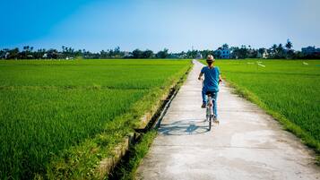 A person riding a bicycle on a concrete path through a green field.