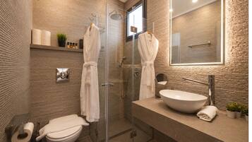 Shower, hydromassage showerhead, designer toiletries, hair dryer