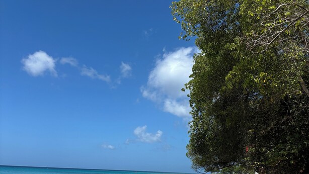 A beach with clear turquoise water, sandy shore, and lush greenery.