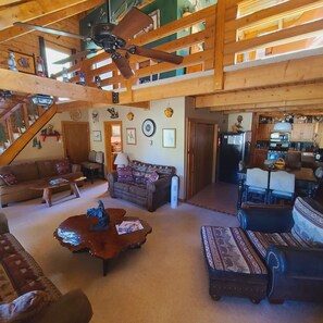 Télévision, cheminée, lecteur de DVD, vidéothèque