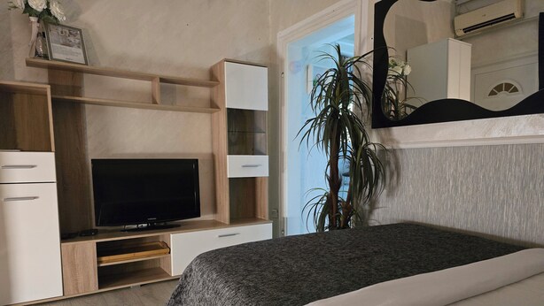 Een slaapkamer met een bed, een televisie, een bureau en een plant.