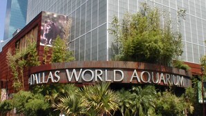 The exterior of the Dallas World Aquarium with a large glass facade and signage. - 4-BD/2.5-BA Tropical Pool Oasis with a Game Room (Flower Mound)