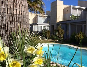 A pool area with a clear blue pool, a palm tree, and a building with balconies. - Villa in La Escala Near Els Riells Beach (L'Escala)