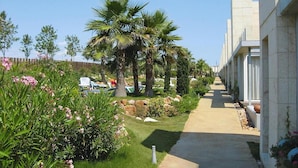 A pathway lined with palm trees and flowering plants, leading to a building with a modern architectural style. - Villa in La Escala Near Els Riells Beach (L'Escala)