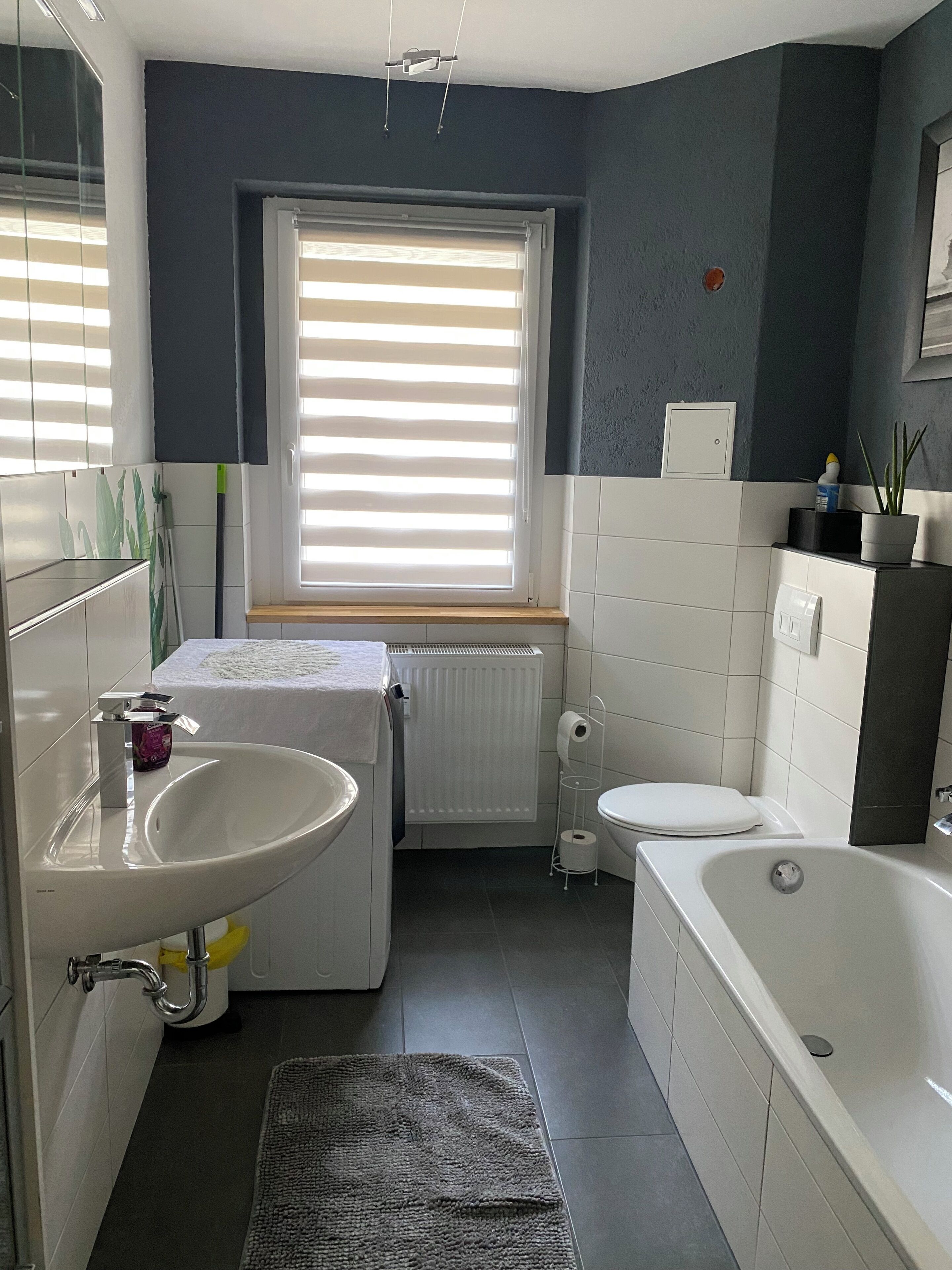 Hair dryer, soap, toilet paper