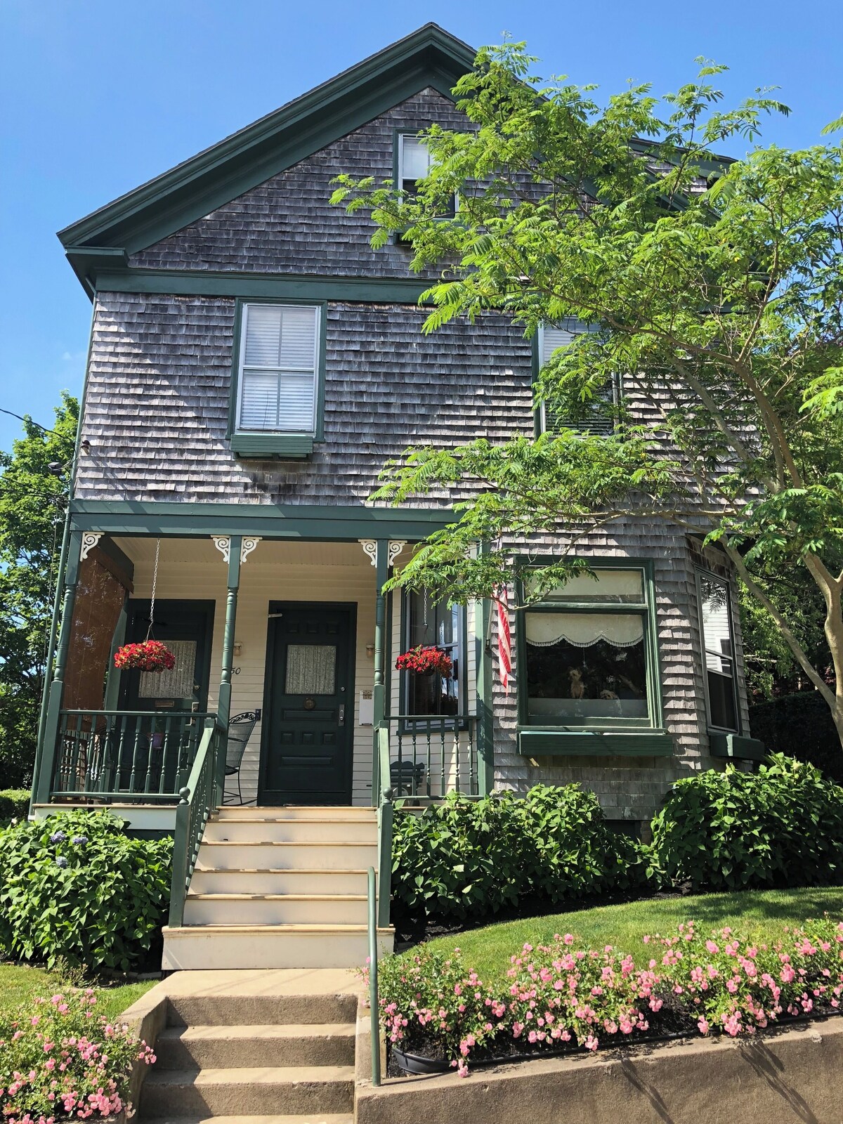 Image de profil de l’hôte