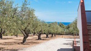 An olive grove with a gravel path leading to a building with a red roof. - IN OROSEI APARTMENT WITH SEA VIEW VERANDA (OROSEI)