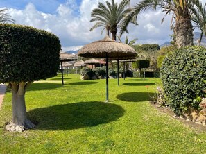 Jardim