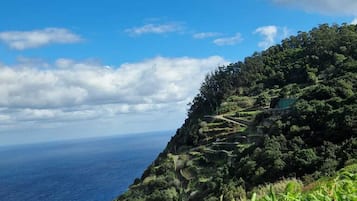 A coastal landscape with a clear sky, lush greenery, and a winding path leading up a hill.