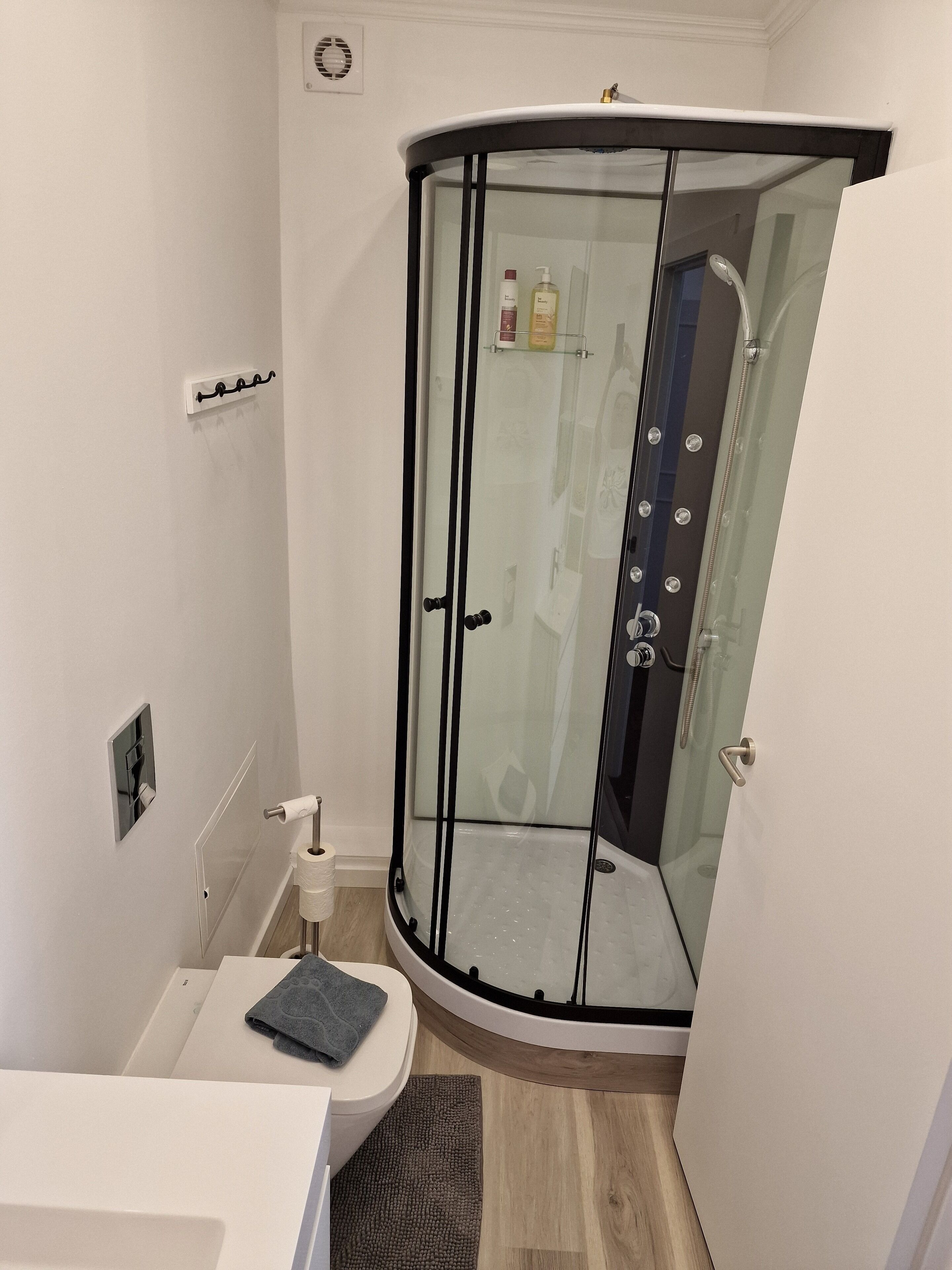 A modern bathroom with a glass-enclosed shower, a toilet, and a sink.