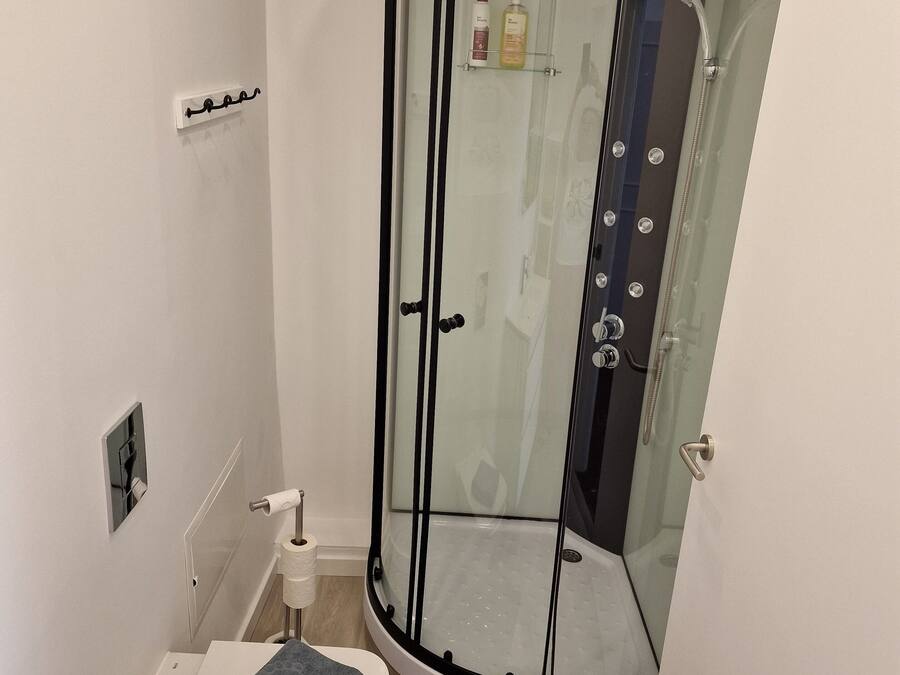 A modern bathroom with a glass-enclosed shower, a toilet, and a sink.
