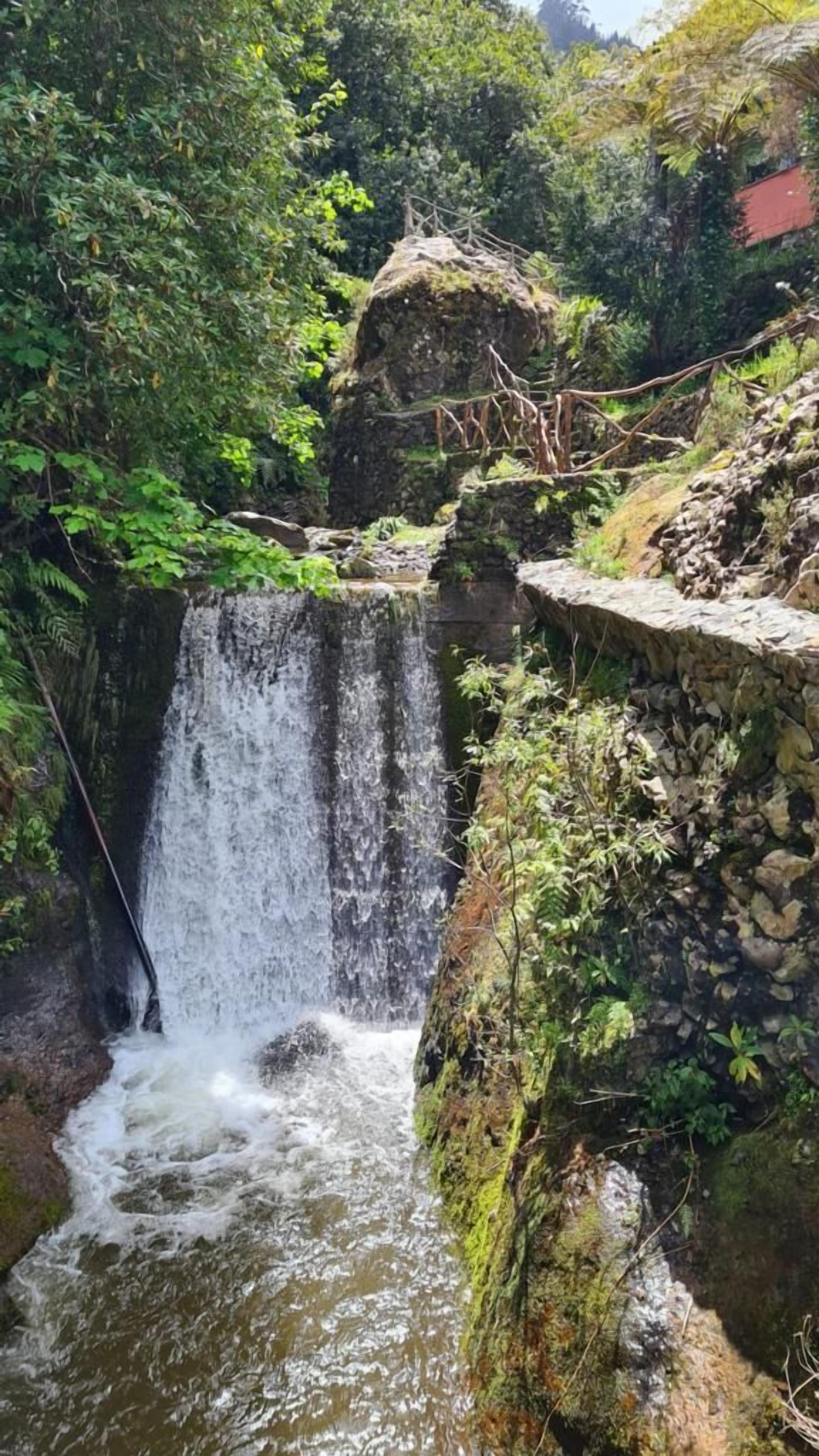 A waterfall cascading over a rocky ledge surrounded by lush greenery.