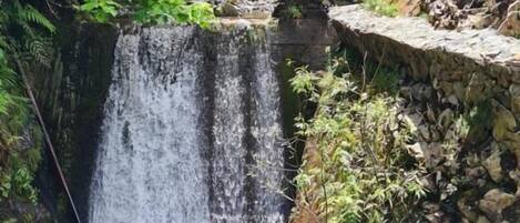 Ein Wasserfall stürzt über einen felsigen Felsvorsprung, umgeben von üppiger Vegetation.