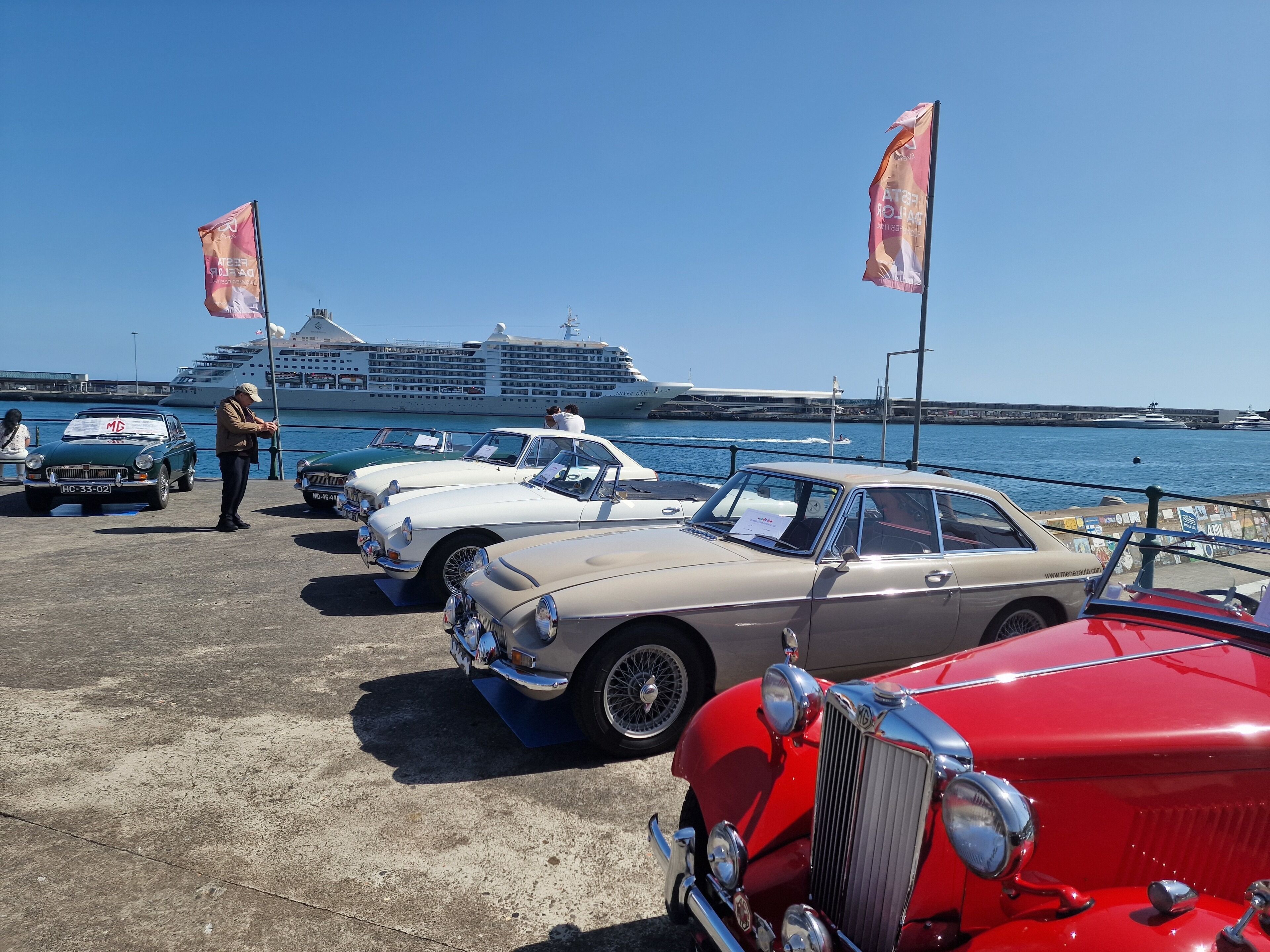 A row of vintage cars parked by a waterfront with a cruise ship in the background.